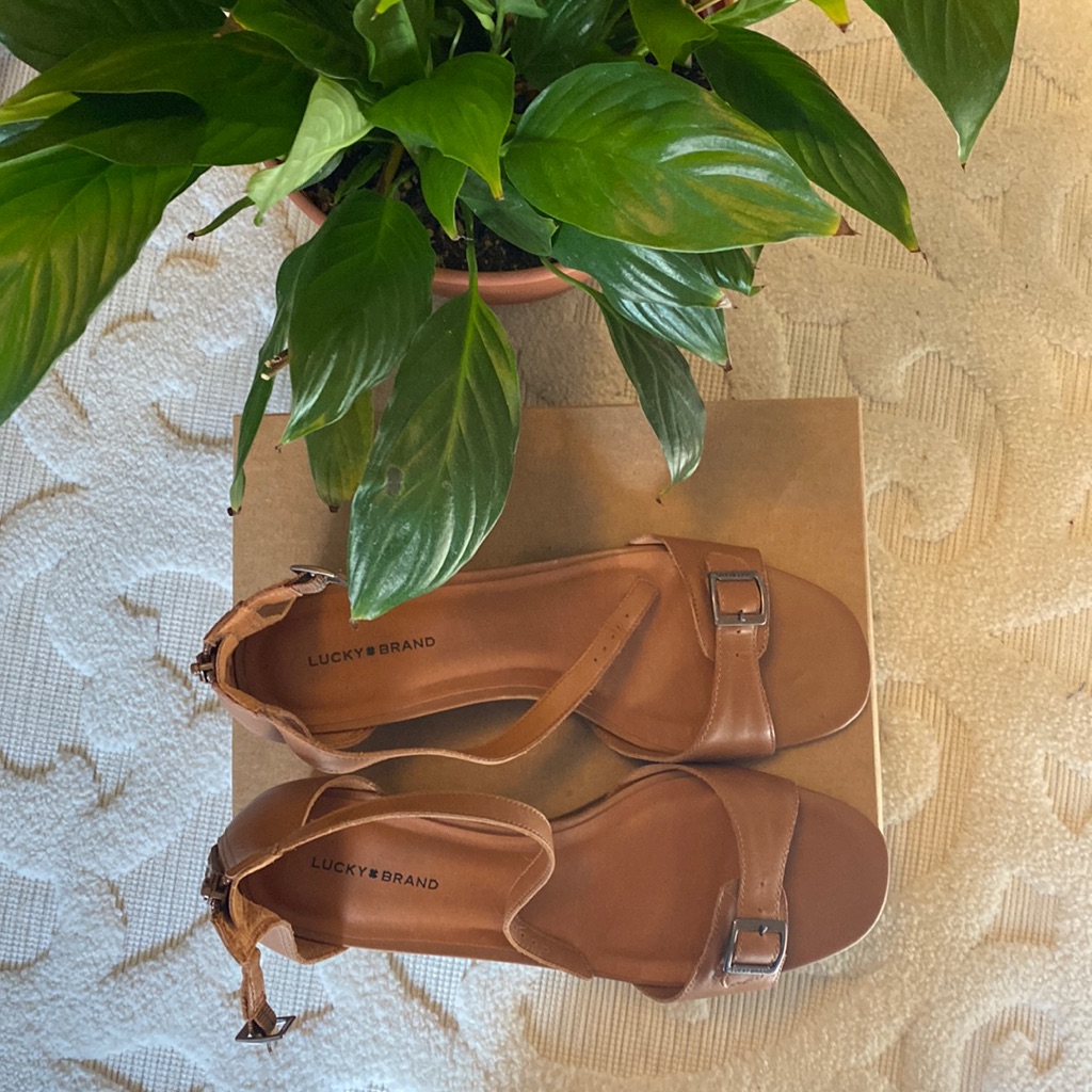 Lucky Brand Size 11 Brown